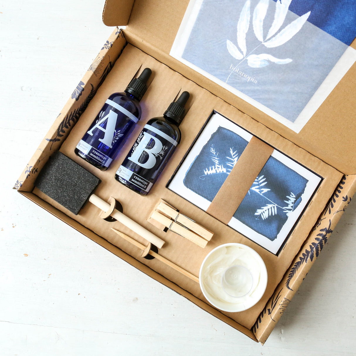 Cyanotype Kit